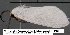  ( - 3742-COI-08)  @12 [ ] Unspecified (default): All Rights Reserved  Unspecified Unspecified