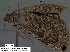  ( - 3778-COI-08)  @13 [ ] Unspecified (default): All Rights Reserved  Unspecified Unspecified