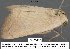  ( - 3824-COI-08)  @13 [ ] Unspecified (default): All Rights Reserved  Unspecified Unspecified