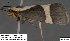 ( - 3827-COI-08)  @12 [ ] Unspecified (default): All Rights Reserved  Unspecified Unspecified