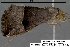  ( - 3830-COI-08)  @13 [ ] Unspecified (default): All Rights Reserved  Unspecified Unspecified