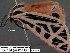  ( - 3879-COI-08)  @12 [ ] Unspecified (default): All Rights Reserved  Unspecified Unspecified