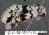  ( - 3901-COI-08)  @12 [ ] Unspecified (default): All Rights Reserved  Unspecified Unspecified