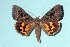  ( - 2588-COI-08)  @14 [ ] Unspecified (default): All Rights Reserved  Unspecified Unspecified