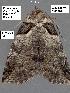  ( - 1575-COI-07)  @12 [ ] Unspecified (default): All Rights Reserved  Unspecified Unspecified