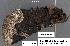  ( - 1577-COI-07)  @12 [ ] Unspecified (default): All Rights Reserved  Unspecified Unspecified