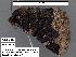  ( - 1578-COI-07)  @12 [ ] Unspecified (default): All Rights Reserved  Unspecified Unspecified