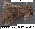  ( - 1589-COI-07)  @12 [ ] Unspecified (default): All Rights Reserved  Unspecified Unspecified