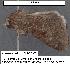  ( - 1591-COI-07)  @12 [ ] Unspecified (default): All Rights Reserved  Unspecified Unspecified