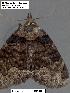 ( - 1613-COI-07)  @12 [ ] Unspecified (default): All Rights Reserved  Unspecified Unspecified