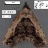  ( - 1617-COI-07)  @13 [ ] Unspecified (default): All Rights Reserved  Unspecified Unspecified