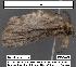  ( - 1620-COI-07)  @12 [ ] Unspecified (default): All Rights Reserved  Unspecified Unspecified