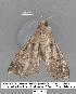  ( - 1625-COI-07)  @12 [ ] Unspecified (default): All Rights Reserved  Unspecified Unspecified