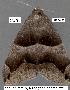  ( - 1627-COI-07)  @12 [ ] Unspecified (default): All Rights Reserved  Unspecified Unspecified