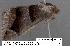  ( - 1628-COI-07)  @12 [ ] Unspecified (default): All Rights Reserved  Unspecified Unspecified