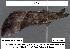 ( - 1638-COI-07)  @12 [ ] Unspecified (default): All Rights Reserved  Unspecified Unspecified