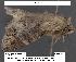  ( - 1646-COI-07)  @12 [ ] Unspecified (default): All Rights Reserved  Unspecified Unspecified