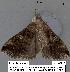  ( - 1652-COI-07)  @12 [ ] Unspecified (default): All Rights Reserved  Unspecified Unspecified