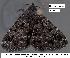  ( - 1653-COI-07)  @12 [ ] Unspecified (default): All Rights Reserved  Unspecified Unspecified