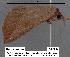  ( - 1654-COI-07)  @13 [ ] Unspecified (default): All Rights Reserved  Unspecified Unspecified
