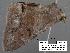  ( - 1665-COI-07)  @12 [ ] Unspecified (default): All Rights Reserved  Unspecified Unspecified