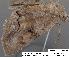  ( - 1668-COI-07)  @12 [ ] Unspecified (default): All Rights Reserved  Unspecified Unspecified