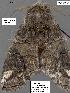  ( - 1673-COI-07)  @13 [ ] Unspecified (default): All Rights Reserved  Unspecified Unspecified