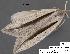  ( - 1678-COI-07)  @12 [ ] Unspecified (default): All Rights Reserved  Unspecified Unspecified