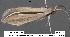  ( - 1681-COI-07)  @14 [ ] Unspecified (default): All Rights Reserved  Unspecified Unspecified