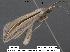  ( - 1682-COI-07)  @14 [ ] Unspecified (default): All Rights Reserved  Unspecified Unspecified