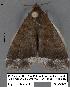  ( - 1692-COI-07)  @13 [ ] Unspecified (default): All Rights Reserved  Unspecified Unspecified