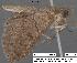  ( - 1693-COI-07)  @13 [ ] Unspecified (default): All Rights Reserved  Unspecified Unspecified