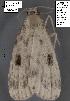  (Parahypenodes - 1701-COI-07)  @13 [ ] Unspecified (default): All Rights Reserved  Unspecified Unspecified