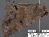  ( - 1708-COI-07)  @12 [ ] Unspecified (default): All Rights Reserved  Unspecified Unspecified