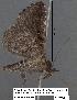  ( - 1709-COI-07)  @13 [ ] Unspecified (default): All Rights Reserved  Unspecified Unspecified