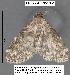  ( - 1713-COI-07)  @12 [ ] Unspecified (default): All Rights Reserved  Unspecified Unspecified