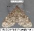  ( - 1715-COI-07)  @12 [ ] Unspecified (default): All Rights Reserved  Unspecified Unspecified