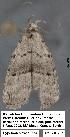  ( - 1718-COI-07)  @12 [ ] Unspecified (default): All Rights Reserved  Unspecified Unspecified