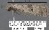  ( - 1719-COI-07)  @12 [ ] Unspecified (default): All Rights Reserved  Unspecified Unspecified