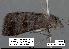  ( - 1740-COI-07)  @12 [ ] Unspecified (default): All Rights Reserved  Unspecified Unspecified