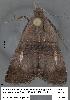  ( - 1741-COI-07)  @12 [ ] Unspecified (default): All Rights Reserved  Unspecified Unspecified
