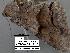  ( - 1747-COI-07)  @12 [ ] Unspecified (default): All Rights Reserved  Unspecified Unspecified