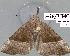  ( - 1764-COI-07)  @13 [ ] Unspecified (default): All Rights Reserved  Unspecified Unspecified