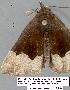 ( - 1768-COI-07)  @11 [ ] Unspecified (default): All Rights Reserved  Unspecified Unspecified