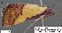  ( - 1774-COI-07)  @13 [ ] Unspecified (default): All Rights Reserved  Unspecified Unspecified