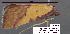  ( - 1777-COI-07)  @13 [ ] Unspecified (default): All Rights Reserved  Unspecified Unspecified