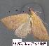  ( - 1779-COI-07)  @13 [ ] Unspecified (default): All Rights Reserved  Unspecified Unspecified