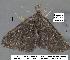  ( - 1781-COI-07)  @13 [ ] Unspecified (default): All Rights Reserved  Unspecified Unspecified