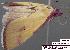  ( - 1782-COI-07)  @12 [ ] Unspecified (default): All Rights Reserved  Unspecified Unspecified