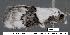  ( - 1789-COI-07)  @12 [ ] Unspecified (default): All Rights Reserved  Unspecified Unspecified